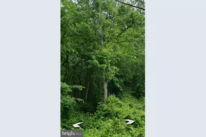 Old Indian Head Road, Upper Marlboro, MD 20772 - Photo 8