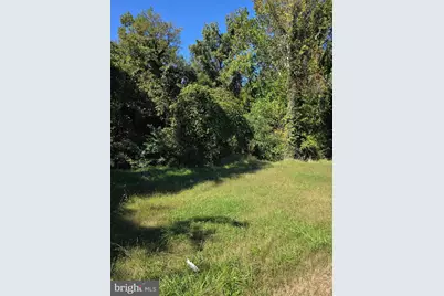 Livingston Road, Fort Washington, MD 20744 - Photo 4