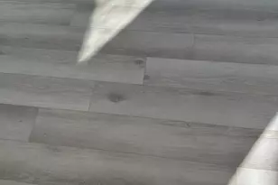 7967 Riggs Rd, Hyattsville, MD 20783 - Photo 8