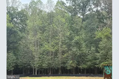 Old Indian Head Road, Brandywine, MD 20613 - Photo 2