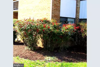 11204 Cherry Hill Road #T2, Beltsville, MD 20705 - Photo 2