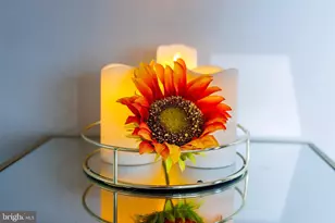 8210 15th Pl, Hyattsville, MD 20783 - Photo 18