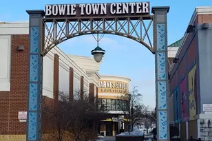 15616 Everglade Ln, Bowie, MD 20716 - Photo 10