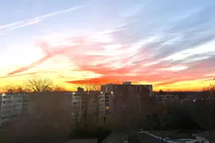 1822 Metzerott Rd, Hyattsville, MD 20783 - Photo 4