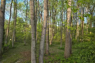 1610 Portland Ave, Fort Washington, MD 20744 - Photo 78