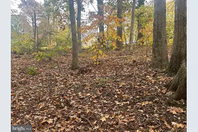 Bock Road, Fort Washington, MD 20744 - Photo 6