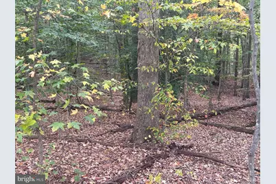 Bock Road, Fort Washington, MD 20744 - Photo 8