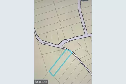 Bock Road, Fort Washington, MD 20744 - Photo 8