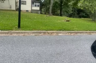 8811 Priscilla Ct, Lanham, MD 20706 - Photo 1