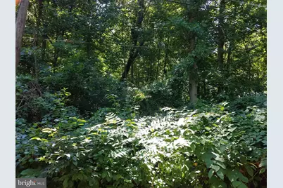 Old Palmer Road, Fort Washington, MD 20744 - Photo 6