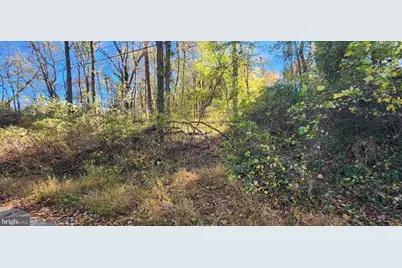 Old Palmer Road, Fort Washington, MD 20744 - Photo 4