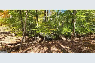 2602 John A Thompson Road, Temple Hills, MD 20748 - Photo 4