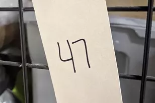 157 Fleet St, Oxon Hill, MD 20745 - Photo 24