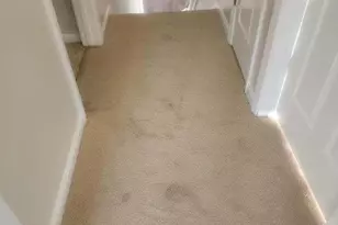 13901 King Gregory Wy, Upper Marlboro, MD 20772 - Photo 14