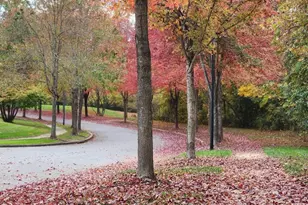 15517 Glastonbury Way, Upper Marlboro, MD 20774 - Photo 94