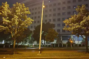 4126 Hanson Oaks Dr, Hyattsville, MD 20784 - Photo 30