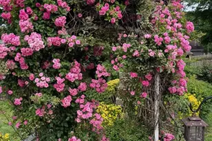 13205 Iris Ct, Bowie, MD 20715 - Photo 84