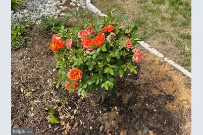 13205 Iris Court, Bowie, MD 20715 - Photo 108