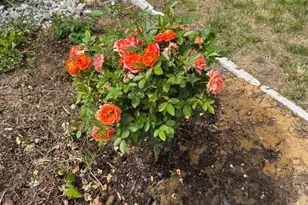 13205 Iris Ct, Bowie, MD 20715 - Photo 108