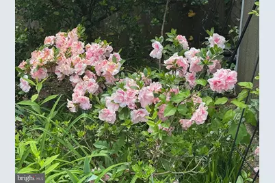 13205 Iris Court, Bowie, MD 20715 - Photo 106