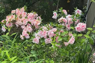 13205 Iris Ct, Bowie, MD 20715 - Photo 106