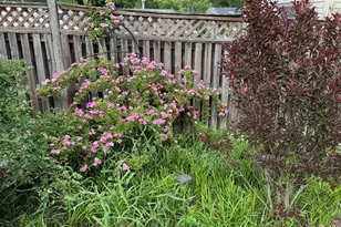 13205 Iris Ct, Bowie, MD 20715 - Photo 82