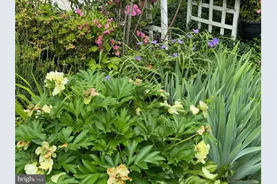 13205 Iris Court, Bowie, MD 20715 - Photo 66