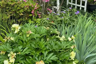 13205 Iris Ct, Bowie, MD 20715 - Photo 66