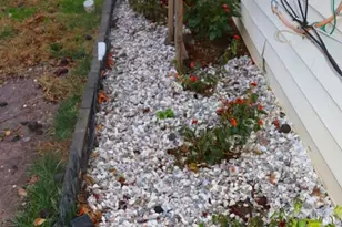 6420 Valley Park Rd, Capitol Heights, MD 20743 - Photo 16