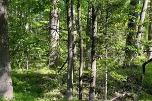 8012 Poplar Hill Dr, Clinton, MD 20735 - Photo 1