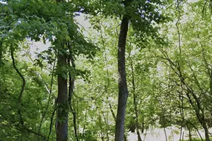 16301 St Thomas Church Rd, Upper Marlboro, MD 20772 - Photo 1