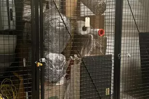 157 Fleet St, Oxon Hill, MD 20745 - Photo 44