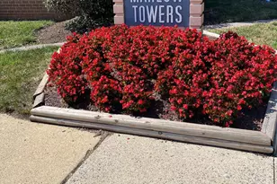 3827 St Barnabas Rd, Suitland, MD 20746 - Photo 1