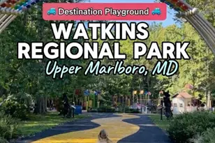 2612 Phelps Ave, District Heights, MD 20747 - Photo 18