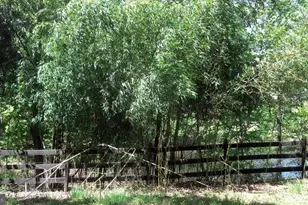 17914 Mill Branch Pl, Bowie, MD 20716 - Photo 94