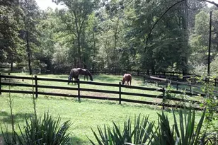 17914 Mill Branch Pl, Bowie, MD 20716 - Photo 92