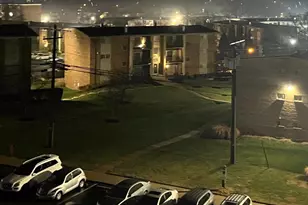 5540 Karen Elaine Dr, Hyattsville, MD 20784 - Photo 30