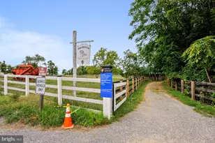 6908 Bitternut Ct, Fort Washington, MD 20744 - Photo 60