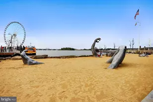 6908 Bitternut Ct, Fort Washington, MD 20744 - Photo 38