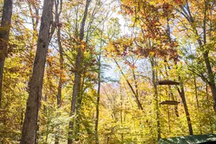 2720 Hidden Valley Rd, Accokeek, MD 20607 - Photo 12