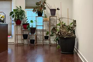 8130 Miner St, Greenbelt, MD 20770 - Photo 20