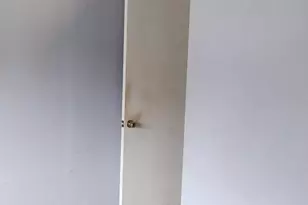 8120 Allendale Dr, Landover, MD 20785 - Photo 30