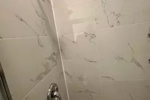 10006 Green Forest Dr, Hyattsville, MD 20783 - Photo 24