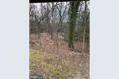 10006 Green Forest Drive, Hyattsville, MD 20783 - Photo 28