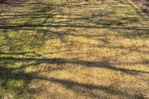 6703 Central Hills Terrace, Landover, MD 20785 - Photo 10