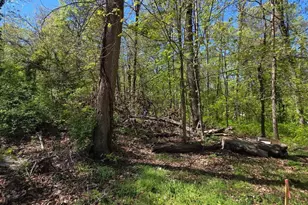 Riverdale Rd, Lanham, MD 20706 - Photo 12
