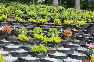 12014 Fairway Manor Ct, Upper Marlboro, MD 20772 - Photo 28