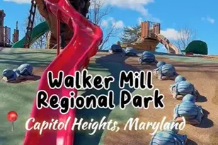 2228 Shadyside Ave, Suitland, MD 20746 - Photo 16