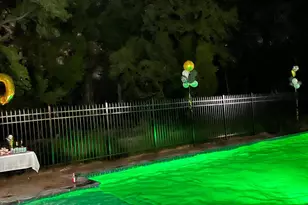 12508 Woodsong Ln, Bowie, MD 20721 - Photo 56