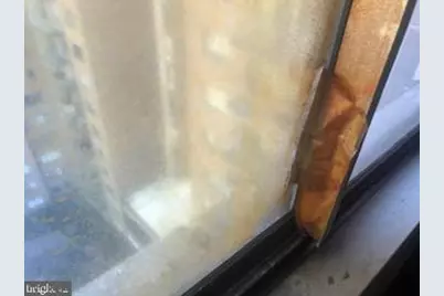 1836 Metzerott Road #1224, Hyattsville, MD 20783 - Photo 10